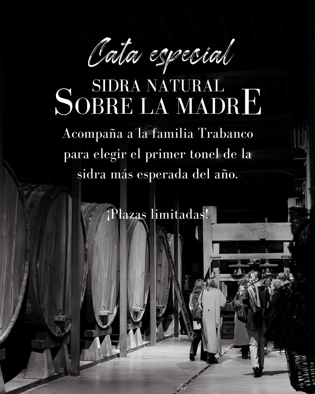 Cartel principal cata sidra sobre la madre